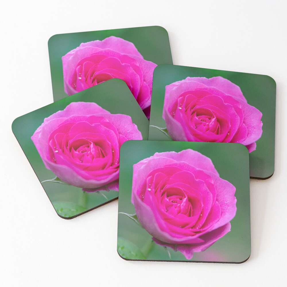 Item preview, Coasters (Set of 4) designed and sold by AYatesPhoto.