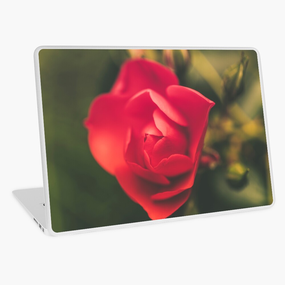 Item preview, Laptop Skin designed and sold by AYatesPhoto.