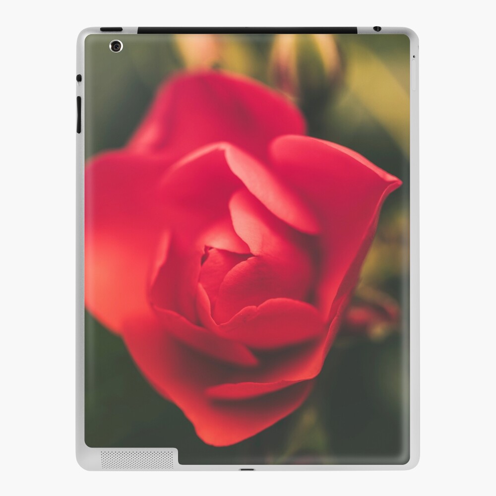 Item preview, iPad Skin designed and sold by AYatesPhoto.