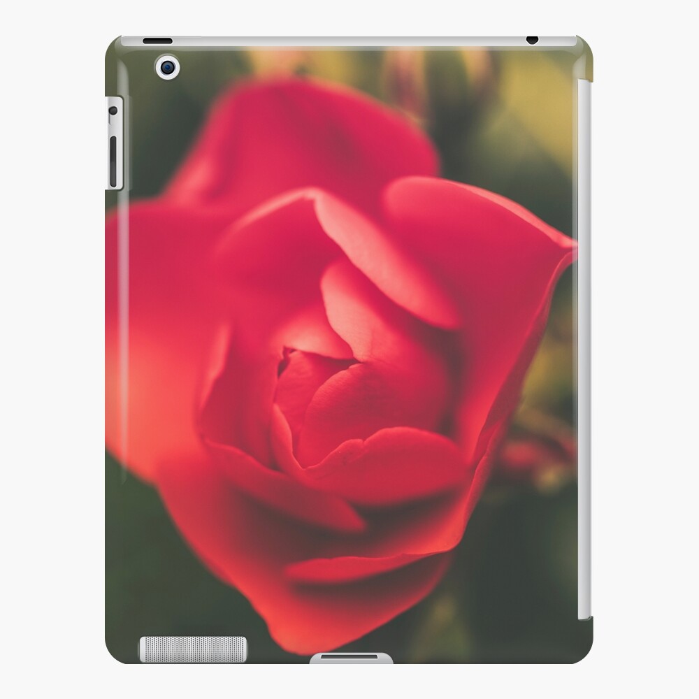 Item preview, iPad Snap Case designed and sold by AYatesPhoto.