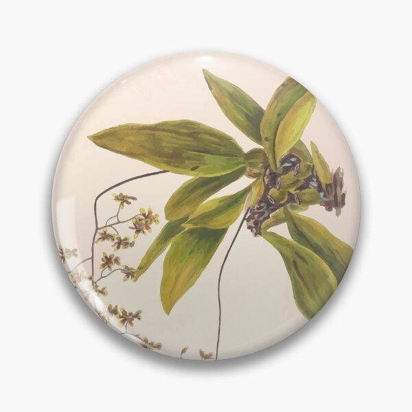 Item preview, Brazilian flowers drawn from nature in the years 1880 to 1882 in the neighbourhood of Rio de Janeiro E H Norton 013 designed and sold by WetdryvacRB01.