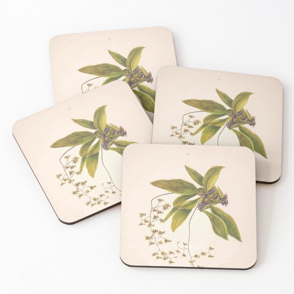 Item preview, Brazilian flowers drawn from nature in the years 1880 to 1882 in the neighbourhood of Rio de Janeiro E H Norton 013 designed and sold by WetdryvacRB01.