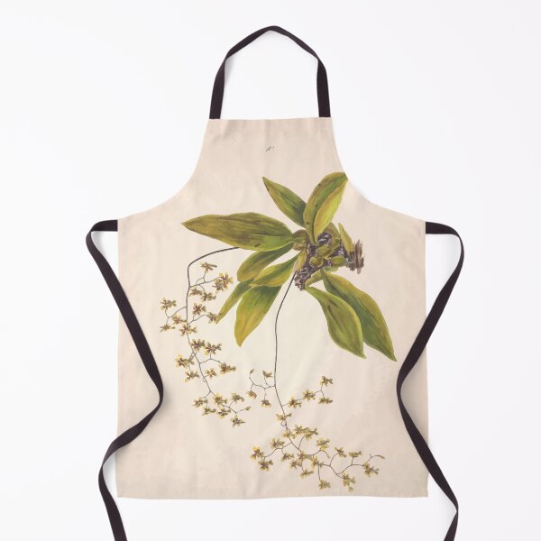 Item preview, Brazilian flowers drawn from nature in the years 1880 to 1882 in the neighbourhood of Rio de Janeiro E H Norton 013 designed and sold by WetdryvacRB01.