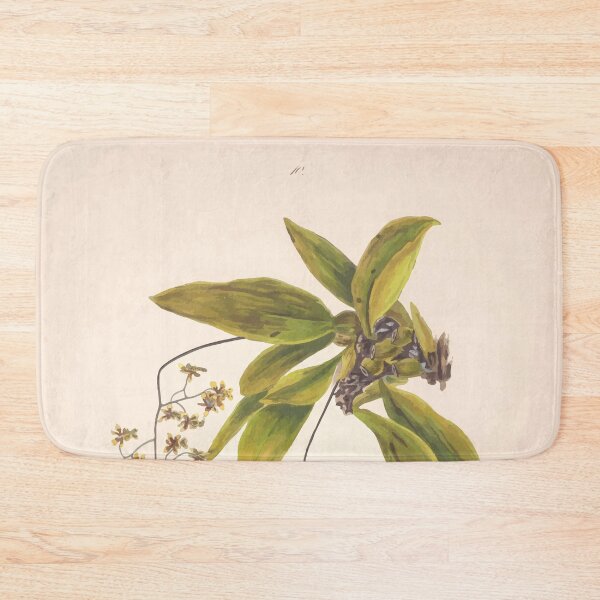 Item preview, Brazilian flowers drawn from nature in the years 1880 to 1882 in the neighbourhood of Rio de Janeiro E H Norton 013 designed and sold by WetdryvacRB01.