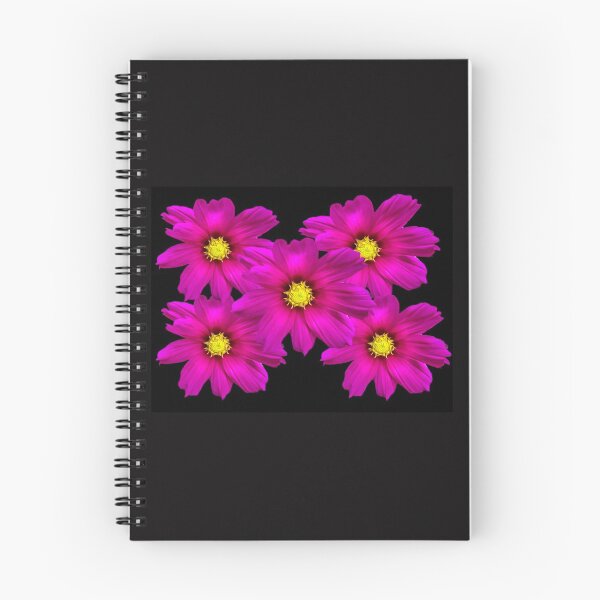 Item preview, Five pink daisies  designed and sold by BerylBez.