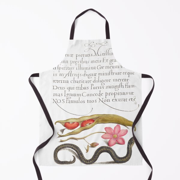Item preview, Vintage Latin calligraphy designed and sold by Flamin' Galah.