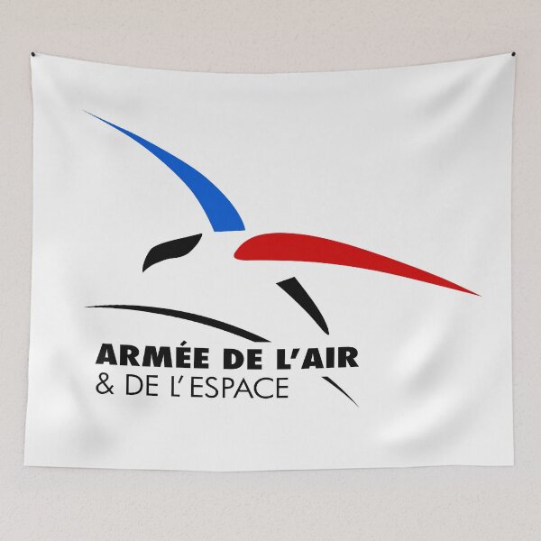 Aperçu de l'œuvre Armée de l'air et de l'espace créée et vendue par WOOFANG.