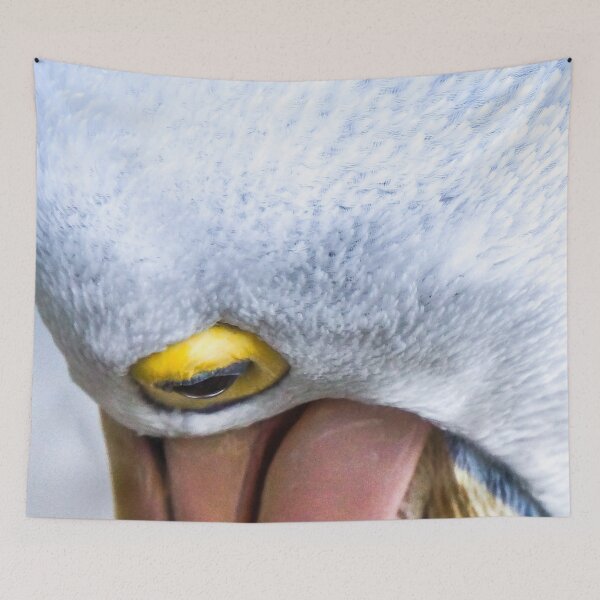 Item preview, Pelican Glancing Down designed and sold by Steven Jodoin.