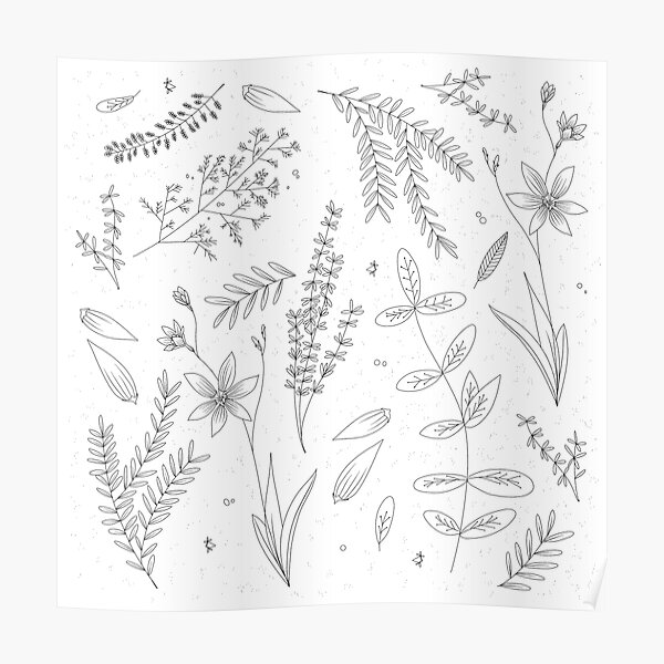 "Just Flowers Black and White" Poster for Sale by paintedlife Redbubble