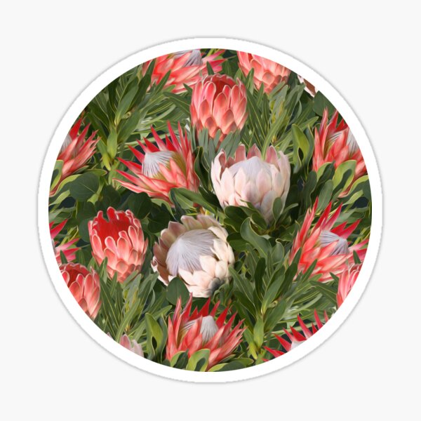 Lush Protea Botanical with Olive Green Leaves Sticker