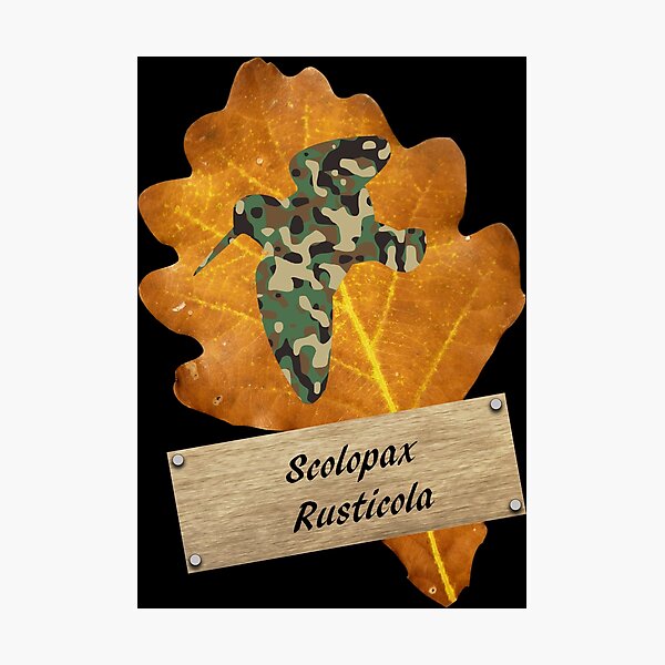 Item preview, OBV – Woodcock camo # 9 Scolopax Rusticola designed and sold by vb66.