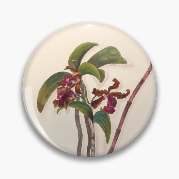 Item preview, Brazilian flowers drawn from nature in the years 1880 to 1882 in the neighbourhood of Rio de Janeiro E H Norton 016 designed and sold by WetdryvacRB01.