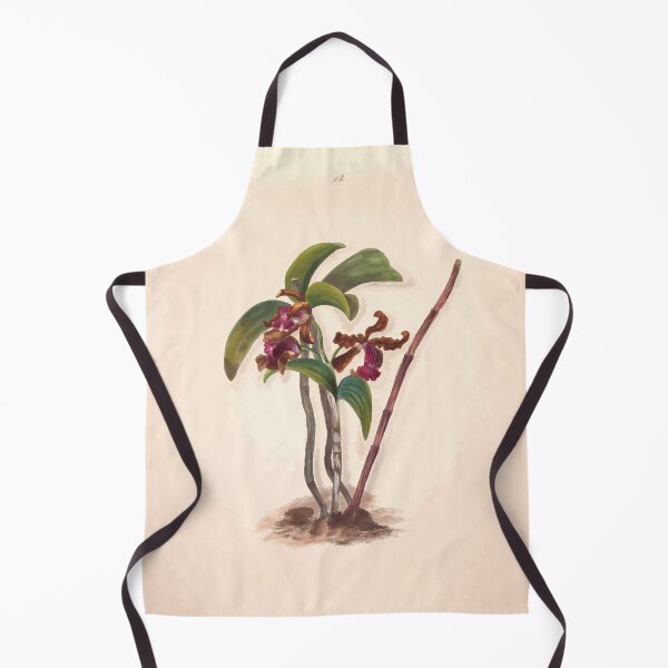 Item preview, Brazilian flowers drawn from nature in the years 1880 to 1882 in the neighbourhood of Rio de Janeiro E H Norton 016 designed and sold by WetdryvacRB01.