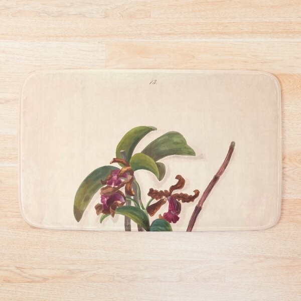 Item preview, Brazilian flowers drawn from nature in the years 1880 to 1882 in the neighbourhood of Rio de Janeiro E H Norton 016 designed and sold by WetdryvacRB01.