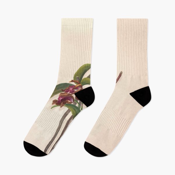 Item preview, Brazilian flowers drawn from nature in the years 1880 to 1882 in the neighbourhood of Rio de Janeiro E H Norton 016 designed and sold by WetdryvacRB01.