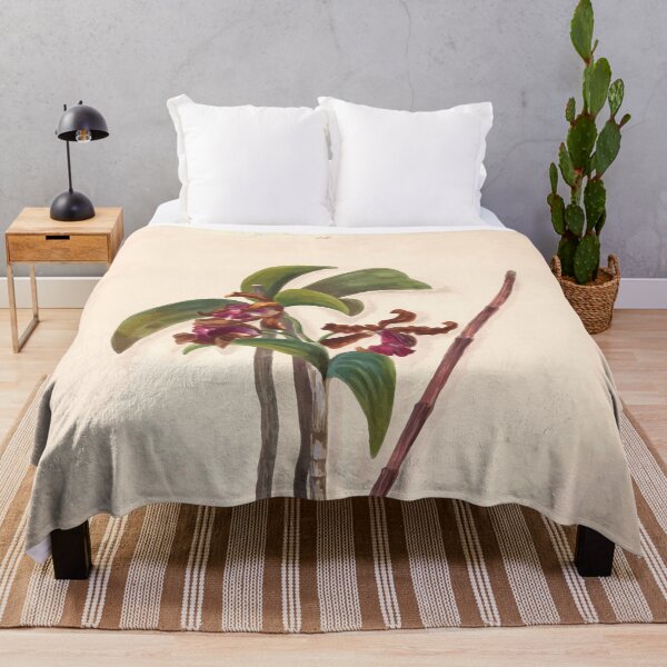 Item preview, Brazilian flowers drawn from nature in the years 1880 to 1882 in the neighbourhood of Rio de Janeiro E H Norton 016 designed and sold by WetdryvacRB01.