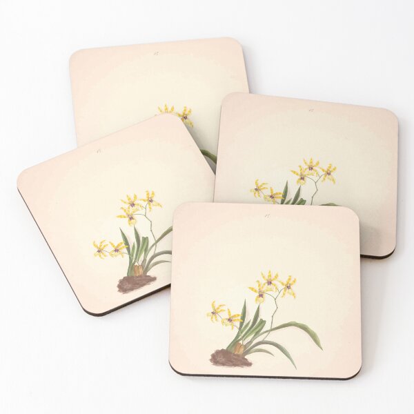 Item preview, Brazilian flowers drawn from nature in the years 1880 to 1882 in the neighbourhood of Rio de Janeiro E H Norton 017 designed and sold by WetdryvacRB01.