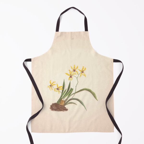 Item preview, Brazilian flowers drawn from nature in the years 1880 to 1882 in the neighbourhood of Rio de Janeiro E H Norton 017 designed and sold by WetdryvacRB01.