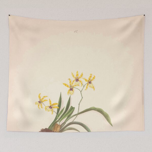 Item preview, Brazilian flowers drawn from nature in the years 1880 to 1882 in the neighbourhood of Rio de Janeiro E H Norton 017 designed and sold by WetdryvacRB01.