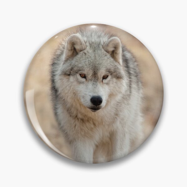 Artikelvorschau, Arctic Wolf entworfen und verkauft von WolvesOnly.