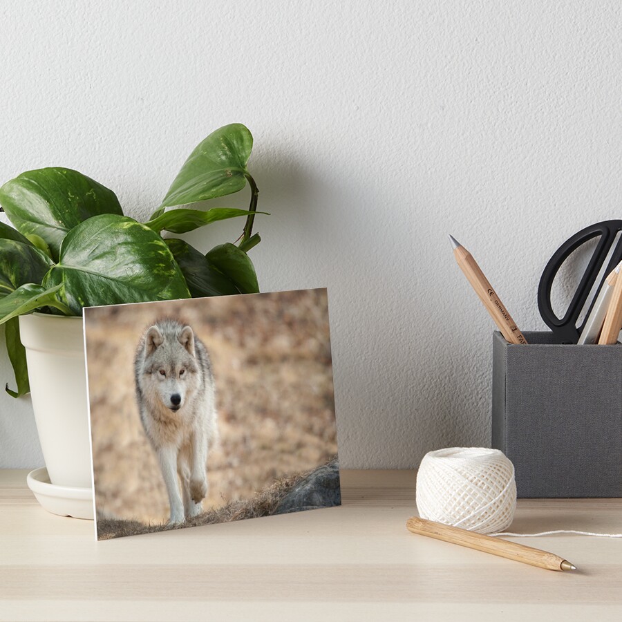 Vista previa del artículo con la obra «Lámina rígida», diseñado y vendido por WolvesOnly.