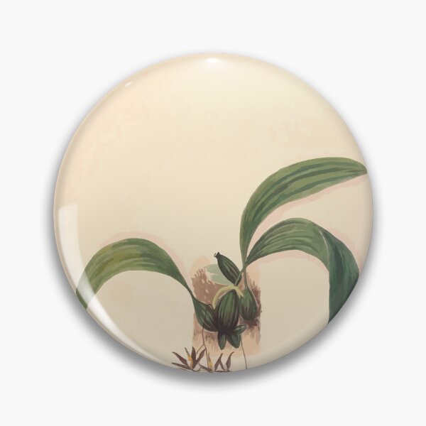 Item preview, Brazilian flowers drawn from nature in the years 1880 to 1882 in the neighbourhood of Rio de Janeiro E H Norton 018 designed and sold by WetdryvacRB01.