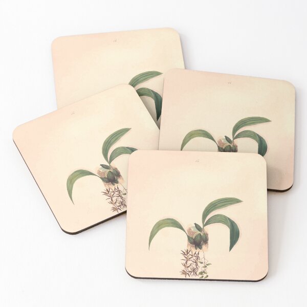 Item preview, Brazilian flowers drawn from nature in the years 1880 to 1882 in the neighbourhood of Rio de Janeiro E H Norton 018 designed and sold by WetdryvacRB01.