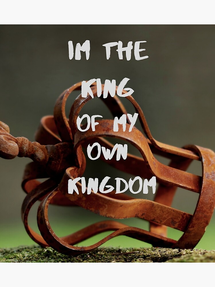 "Im The King of My Own Kingdom" Photographic Print for Sale by PrajwalR