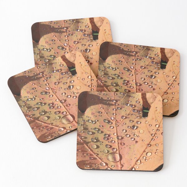 Item preview, Droplets on fallen leaf designed and sold by SariePhotograph.