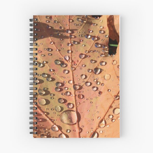 Item preview, Gotas sobre hojas caídas designed and sold by SariePhotograph.