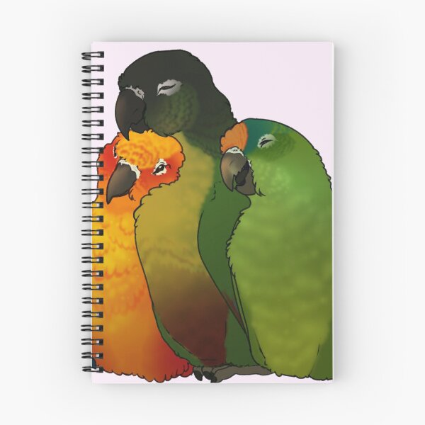Artikelvorschau, Kuschelige Conures entworfen und verkauft von WarriorRainyDay.