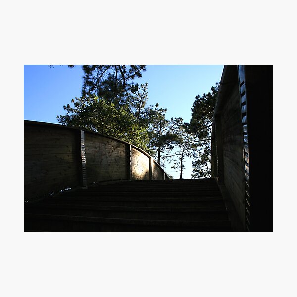 Park - Path shadows Photographic Print