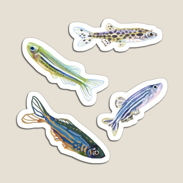 Item preview, Assorted Danio sticker pack designed and sold by Sugaranspice.