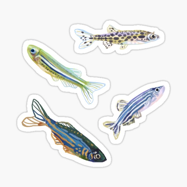 Item preview, Assorted Danio sticker pack designed and sold by Sugaranspice.