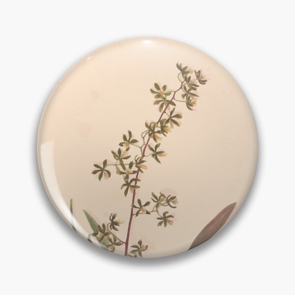 Item preview, Brazilian flowers drawn from nature in the years 1880 to 1882 in the neighbourhood of Rio de Janeiro E H Norton 020 designed and sold by WetdryvacRB01.
