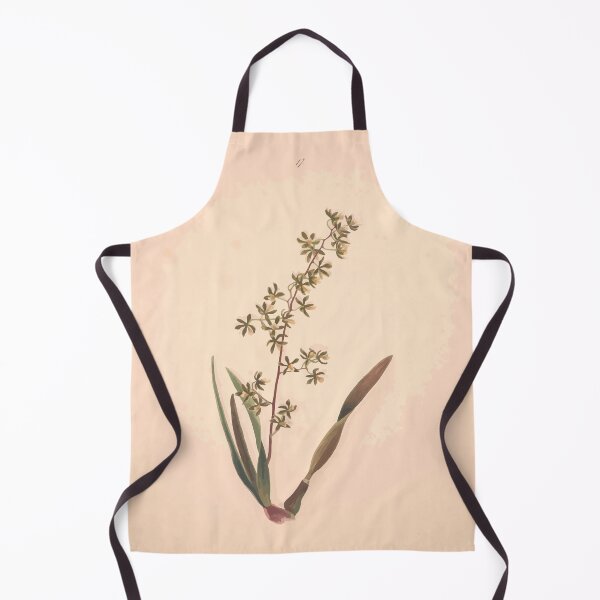 Item preview, Brazilian flowers drawn from nature in the years 1880 to 1882 in the neighbourhood of Rio de Janeiro E H Norton 020 designed and sold by WetdryvacRB01.