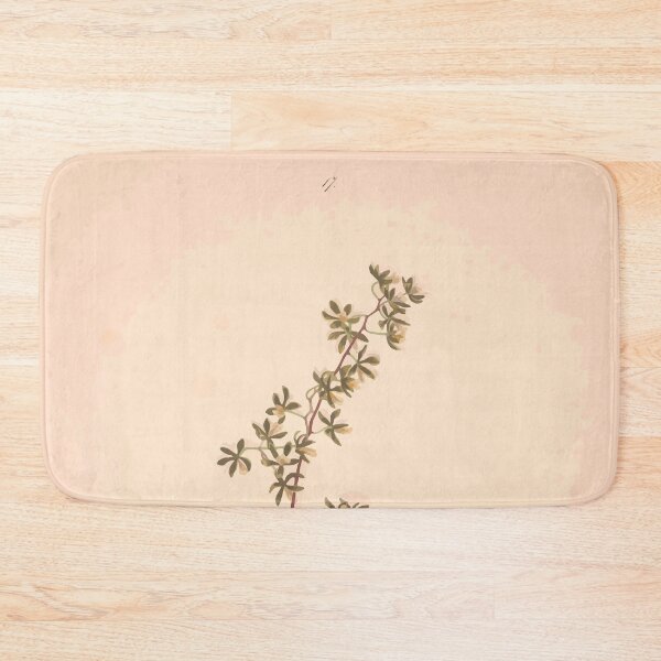 Item preview, Brazilian flowers drawn from nature in the years 1880 to 1882 in the neighbourhood of Rio de Janeiro E H Norton 020 designed and sold by WetdryvacRB01.