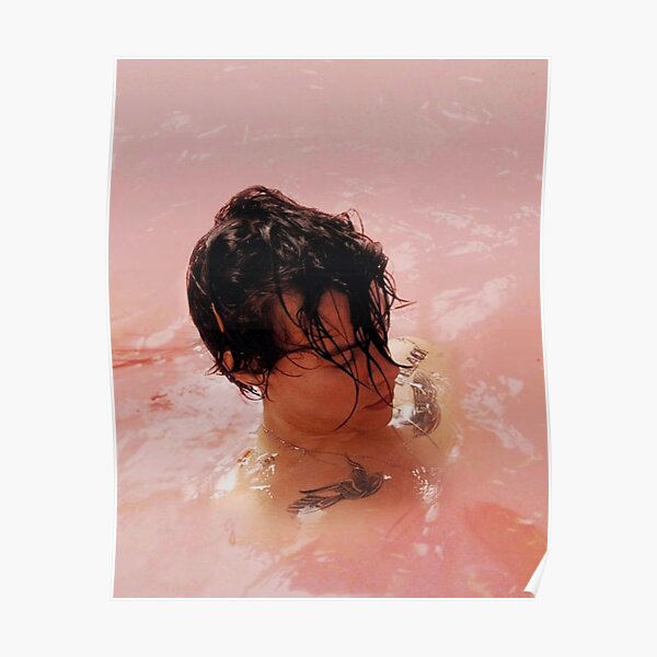 sur les eaux harry pink Poster