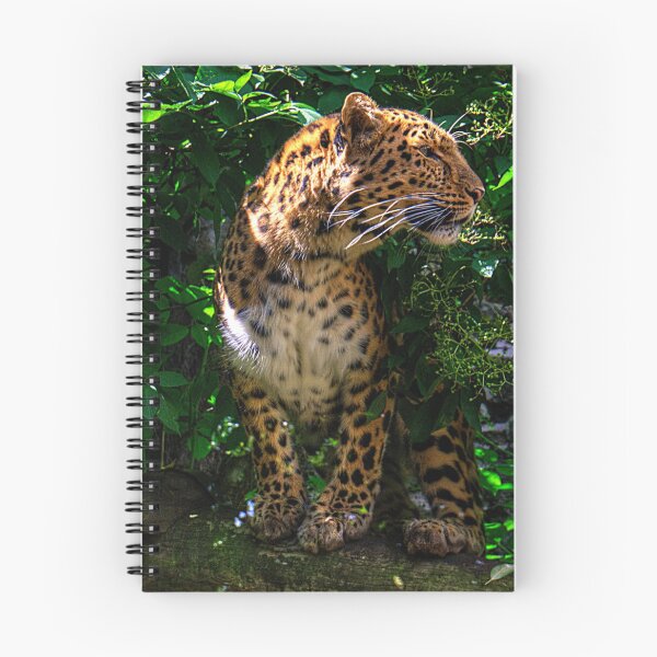 Item preview, Amur Leopard designed and sold by tomg.