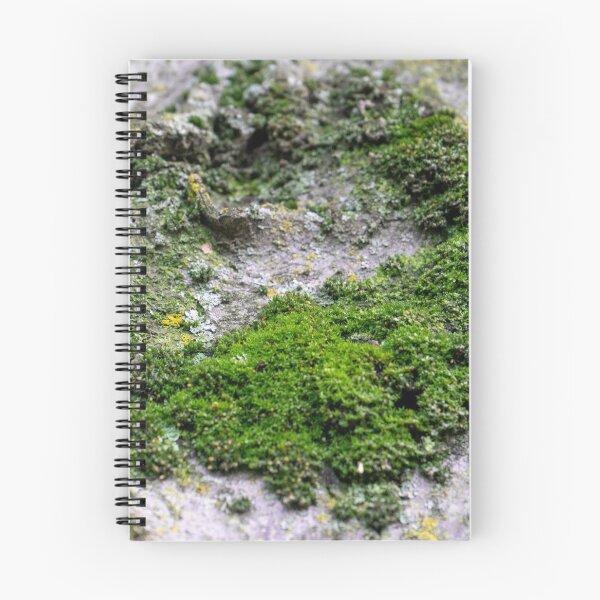 Item preview, Moss Circle designed and sold by Ollivrosa.