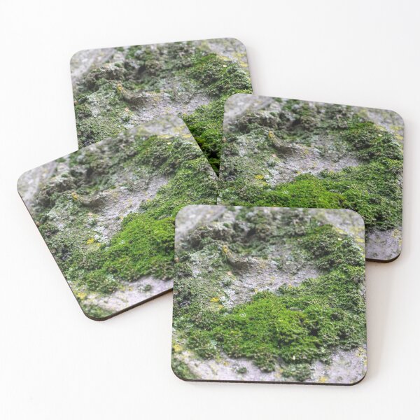 Item preview, Moss Circle designed and sold by Ollivrosa.