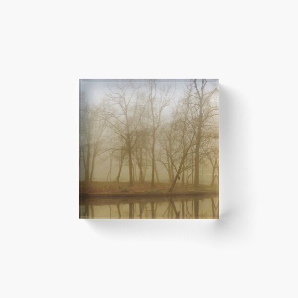 Item preview, Misty Trees beside the Lake designed and sold by PlanetPrints.