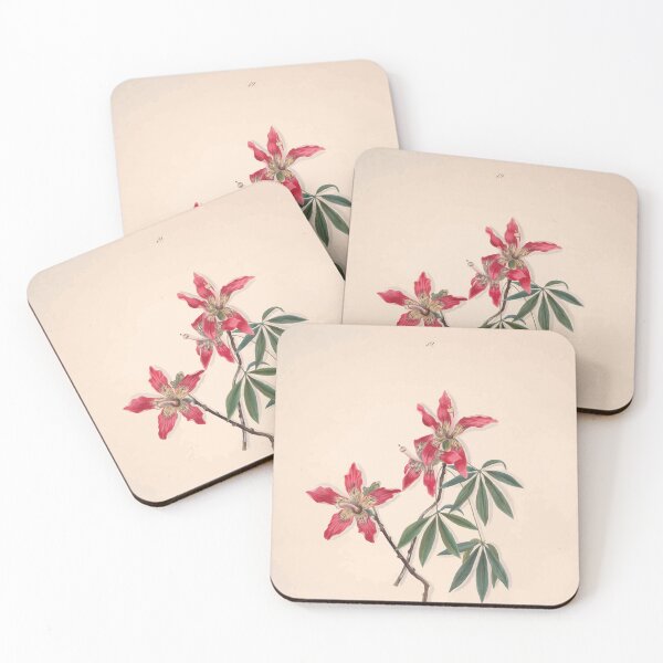 Item preview, Brazilian flowers drawn from nature in the years 1880 to 1882 in the neighbourhood of Rio de Janeiro E H Norton 022 designed and sold by WetdryvacRB01.