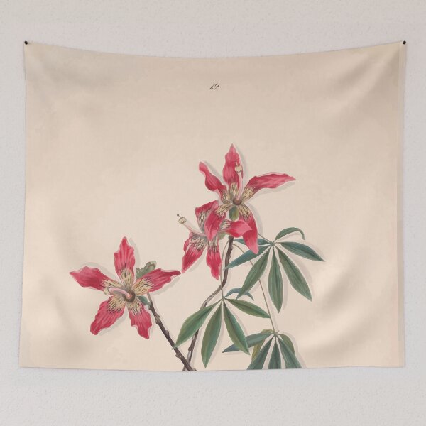 Item preview, Brazilian flowers drawn from nature in the years 1880 to 1882 in the neighbourhood of Rio de Janeiro E H Norton 022 designed and sold by WetdryvacRB01.