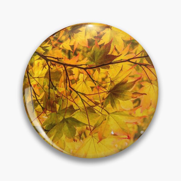 Item preview, Look Up and Enjoy the Brilliant Autumn Colors designed and sold by Georgia Mizuleva.