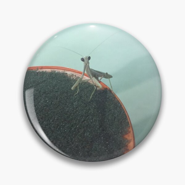 Item preview, Praying Mantis Photo designed and sold by amytarleton.