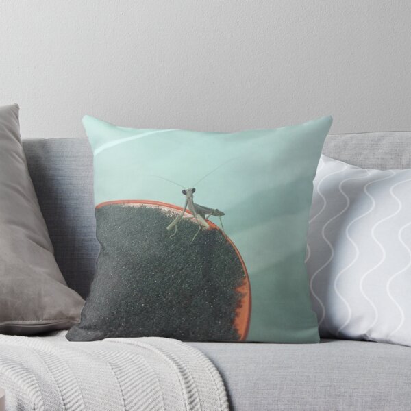 Item preview, Praying Mantis Photo designed and sold by amytarleton.