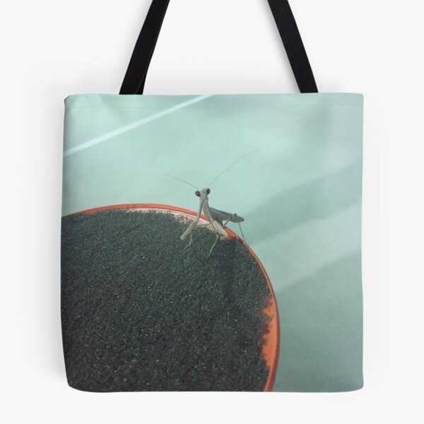 Item preview, Praying Mantis Photo designed and sold by amytarleton.
