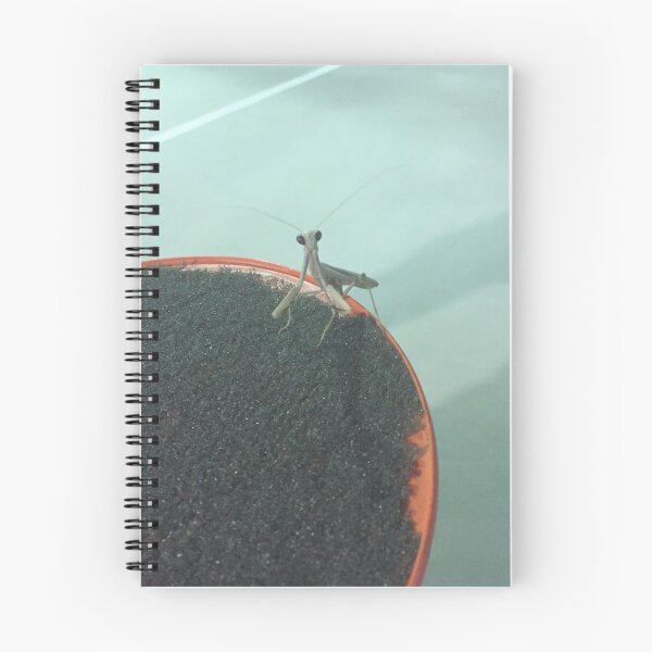 Item preview, Praying Mantis Photo designed and sold by amytarleton.