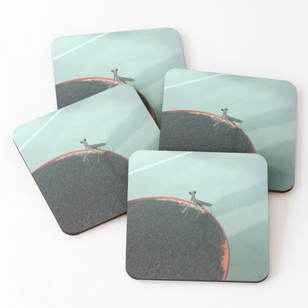 Item preview, Praying Mantis Photo designed and sold by amytarleton.